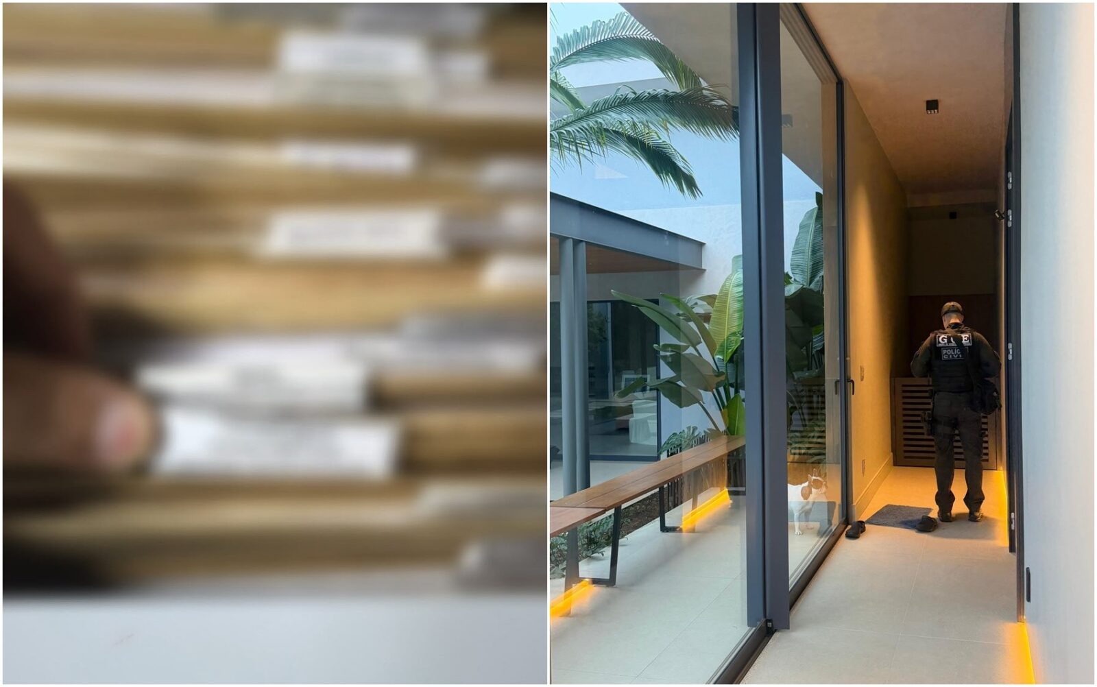 Operação prende grupo suspeito de frauder licitações em cartões de alimentação — Foto: Reprodução/ TV Anhanguera